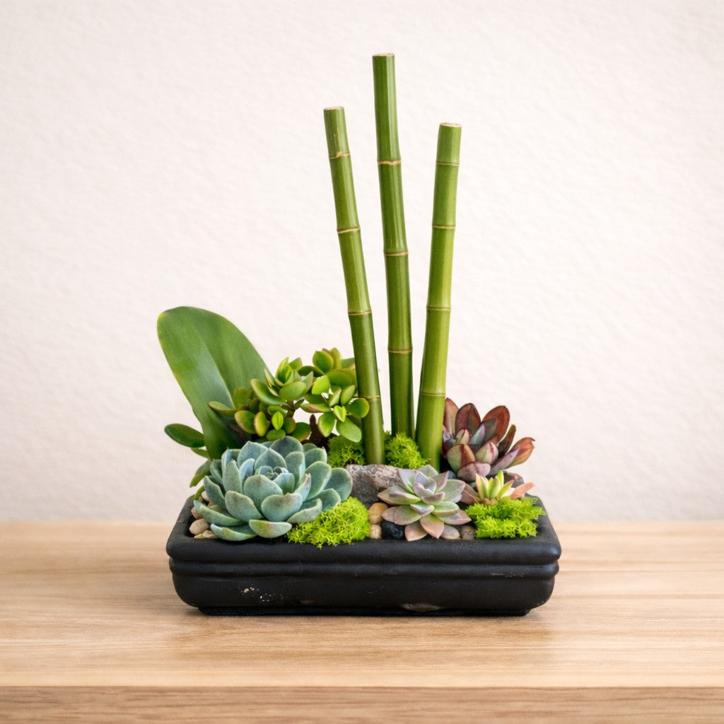 Modern succulent bamboo bowl arrangement for lobby or medical office delivery in North San Diego County