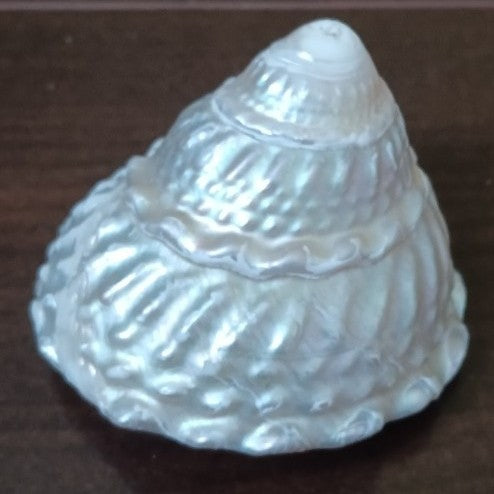 White decorative seashell with a textured spiral design on a dark background — Thanks Flowers product accessory image for North San Diego County delivery.