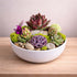 succulent arrangement-long-lasting