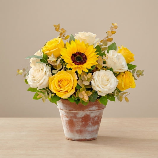Full size Radiant Grace arrangement with a sunflower, ivory and yellow roses, baby’s breath, and fuller greenery arranged in a ceramic pot – Carlsbad flower delivery.