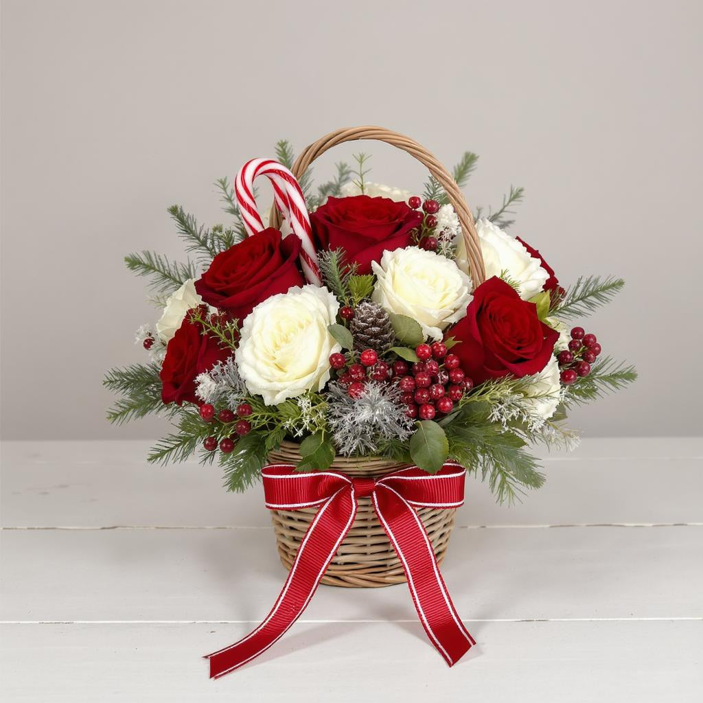 Regular size Christmas basket arrangement with red roses, white roses, evergreens, pinecones, candy cane accents, and a red-striped ribbon – Same-day flowers San Marcos.
