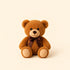 Soft brown teddy bear, optional add-on for flower delivery.