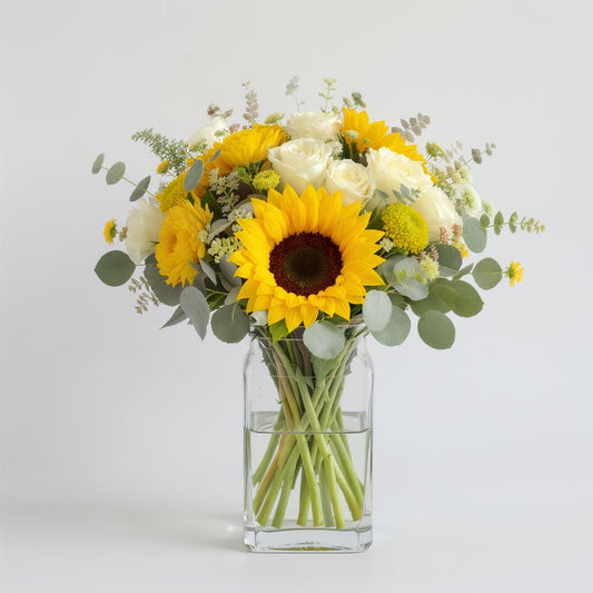 Regular size sunflower and white rose bouquet in a tall square glass vase with greenery on a white background – Carlsbad flower delivery.