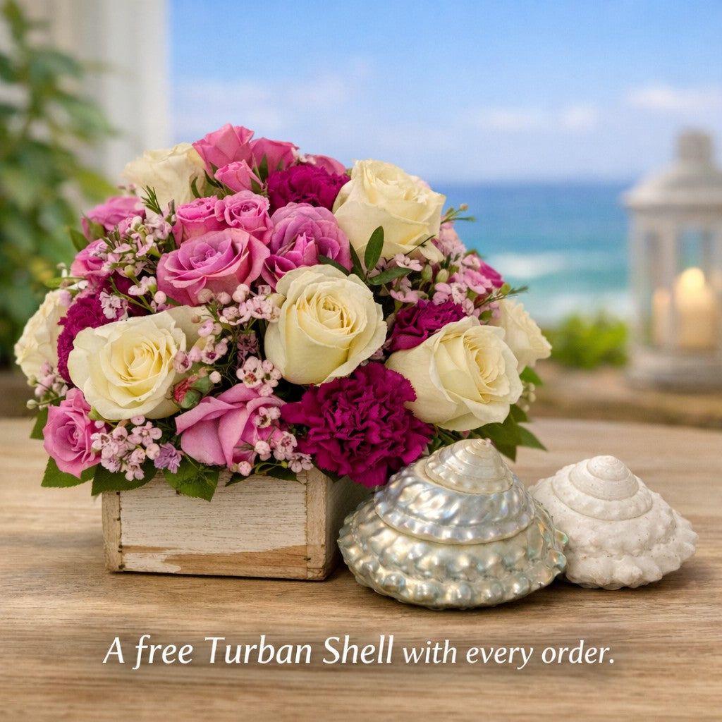 Pink and white rose flower arrangement in a wooden box with a free turban shell gift, available for local delivery in San Marcos and North San Diego County.